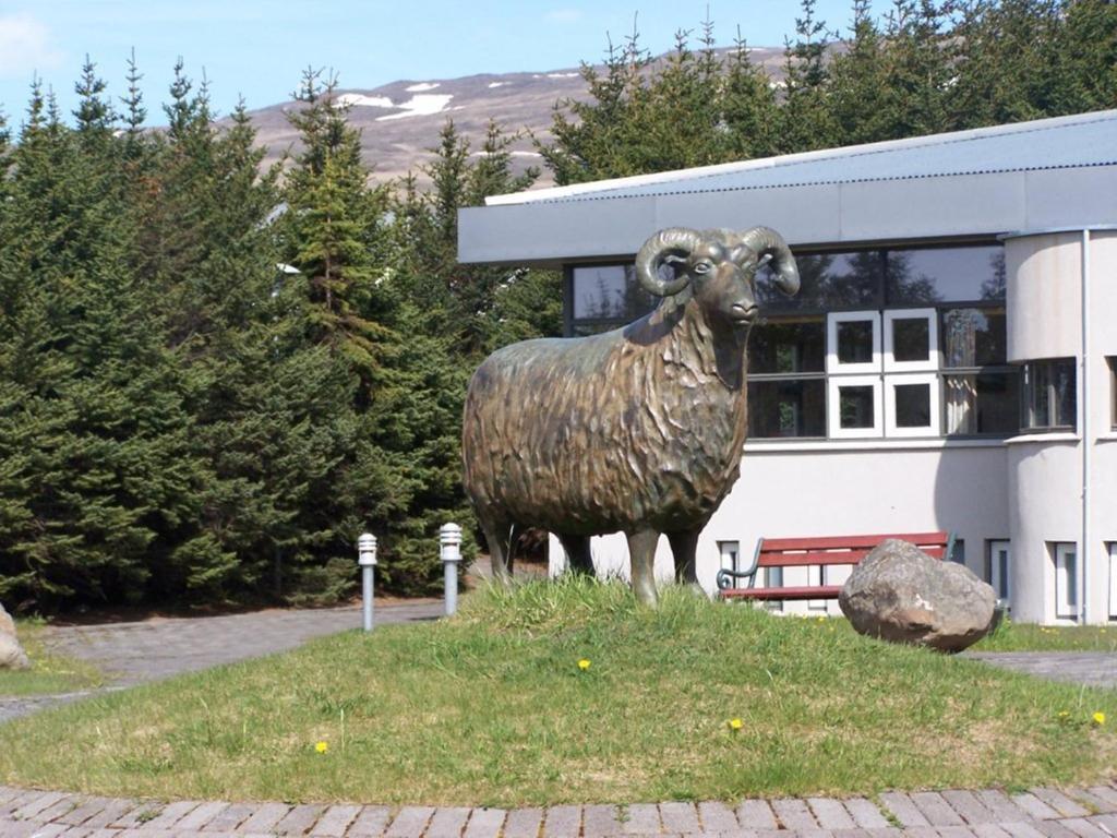 Albert Guesthouse Hvammstangi Kültér fotó